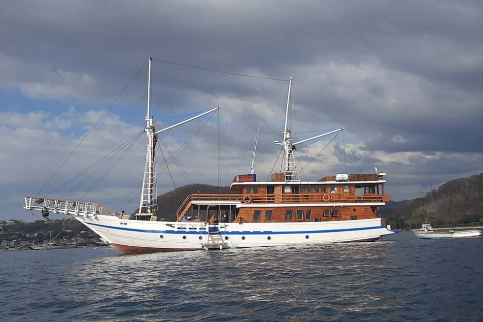 phinisi yacht price